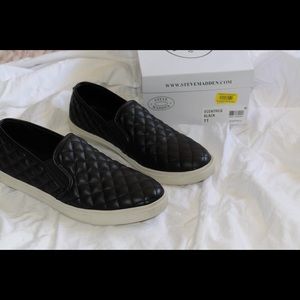 Steve Madden Ecentrico Sneakers